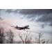 Travelsox Flight Travel Socks OTC | Patented Graduated Compression | X-Large Black - Buy Online on GoSupps.com