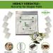 Green Piece Overstuffed Baby Diaper Pail Deodorizer - All Natural Activated Charcoal Air Purifier - Pack of 15 Sachets (24g) - International Shipping Available - Buy Online on GoSupps.com