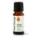 Plant Therapy Orange Essence Oil 10 mL (1/3 oz) 100% Pure Undiluted Essence Oil Orange 0.33 Fl Oz (Pack of 1)