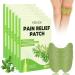 CLIUNT 60pcs Pain Relief Patches Knee Pain Relief Patches Knee Patches for Pain Relief for Arthritis Relieves Muscle Soreness in Knee Neck Shoulder