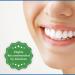 EcoDent Sparkling Clean Mint Daily Mouth Rinse & Wound Cleaner with Essential Oils and Baking Soda - 2-Pack 8 Fl Oz Ea - Buy Online on GoSupps.com