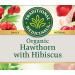 Organic Hawthorn & Hibiscus Herbal Tea | Heart Health Support | 16 Tea Bags - Buy Online on GoSupps.com