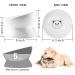 Elevated Tilted Ceramic Cat Bowl for Food & Water - Anti-Vomiting, Reduce Neck Strain - White - Buy Online on GoSupps.com