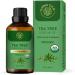Carno Calm Tea Tree Oil for Skin | 100% Pure Tea Tree Essential Oil | for Aromatherapy Diffuser Bath Cream Spray Nails & Hair | 30ml Tea Tree 30 ml (Pack of 1) - Buy Online on GoSupps.com