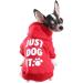 Paiaite Red Chihuahua Dog Hoodie | XS Winter Small Dog Sweatshirt | Leash Hole | Warm Pet Clothes for Puppy | Sweater Coat Clothing | JUST Dog IT - Buy Online on GoSupps.com