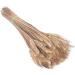 Dried Wheat Stems 100PCS Type 1 Dried Wheat Stalks Dried Wheat Sheaves Fake Dried Wheat Sheaves Stalks Bouquet Bundles Natural Wheat Stalks Bundle Dry Grass Bunch DIY Arrangements Primary - Buy Online on GoSupps.com
