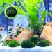 Digital Aquarium Thermometer - Mini LCD Waterproof Temperature Meter for Aquariums Reptiles & Terrariums - Buy Online on GoSupps.com
