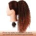 Colorfulpanda Afro Kinky Curly Ponytail 14inch - Black/Auburn Synthetic Hair Extension for Black Women - Buy Online on GoSupps.com