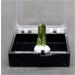 Minerals Stones Natural Brazil Turmaline Crystal specimens and Crystals Quartz Crystals Crystal Stones Decoration (Color : Style) - Buy Online on GoSupps.com