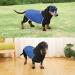 Dachshund Raincoat - Waterproof Winter Clothes for Miniature Dachshund XS Blue - Buy Online on GoSupps.com