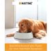 Vetoquinol Ipakitine Powder 300g - Renal Health Supplement for Cats & Dogs - Fast International Shipping - Buy Online on GoSupps.com