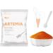 JUNNOTI 60G Aquarium Hatching Fish Food Artemia Shelling Eggs Brine Shrimp Shelling Eggfood for Feeding Baby Fishes - Buy Online on GoSupps.com
