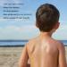 Evereden Premium Mineral Sunscreen SPF 50 | Non-Nano Zinc Oxide | Waterproof & Sweatproof | 2 fl oz Natural Sunscreen for Babies, Kids & Adults - Buy Online on GoSupps.com