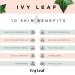 Ivy Leaf Restorative Skin Moisturizer - Authentic Korean Skincare with Ivy Leaf Extract Hyaluronic Acid & SPF 20 | Cruelty Free & Vegan - Buy Online on GoSupps.com