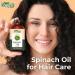 Organic Zing Spinach Oil Cosmetic Grade (30 ml / 3.99 fl oz) - Botanical Oil for Skin Care Hair Blends & DIY Formulations - Buy Online on GoSupps.com