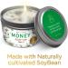 MAGNIFICENT 101 Money Aromatherapy Candle - Sage Cinnamon Scented Soy Wax Tin for Cash Flow Boost and Chakra Healing - Buy Online on GoSupps.com