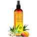 NEW After Sun Solar Recovery Spray with Aloe Vera - For Skin & Face with Instant Sunburn Relief. Unlike Regular Aftersun Spray  Ours Is Made From Freshly Cut Texas Aloe. With Mango & Chamomile (12 Oz)