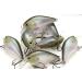 Lucky Craft Fishing Lure LC 1.5 Silent Crankbait 238 Ghost Minnow - One Size - Buy Online on GoSupps.com