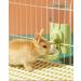 Large Rabbit Water Bottle 20oz Hanging Automatic Water Dispenser by Gravity Flow for Bunny Chinchilla Guinea Pig Ferrets (PE002) (Blue) - Buy Online on GoSupps.com
