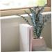 Zerodeko 10pcs Flower Plants Wedding Bouquets Eucalyptus Branches Naturales Faux Eucalyptuses Faux Eucalyptus Leaves Eucalyptus Tree Leaves Fake Eucalyptus Christmas Decorations - Buy Online on GoSupps.com