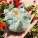 Specimen 500-600g Quartz Cluster Natural Green Ghost Crystal Cluster Inlaid with Yellow Specimen - Buy Online on GoSupps.com