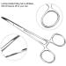 Pet Ear Locking Forceps - Strong Dog Grooming Tweezers for Effective Ear Hair Removal | Animal Care Scissor Tool - Buy Online on GoSupps.com