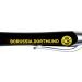 Borussia Dortmund BVB Ballpoint Pen Set of 3 Perfect Gift for Fans | International Shipping Available - Buy Online on GoSupps.com