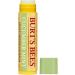 Burt's Bees Hydrating and Moisturizing Lip Balm Bundle | 100% Natural Lip Care - 4 Tubes Lip Balm+ Lip Balm Cucumber Mint - Buy Online on GoSupps.com