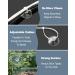 Jetop 50 Pack Suction Cup Aquarium Set & 100 Adjustable Zipper Cables - Perfect for Holding Airline Tubing Reptile Hammocks Decorations & Shrimp Nest Binding - Buy Online on GoSupps.com