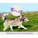 Taglory Reflective Dog Leash for Medium & Large Dogs | Padded Handle Supports 10-75 kg | 1.8m x 2.5cm | Purple | Ideal for Comfortable Walking - Buy Online on GoSupps.com