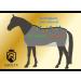 Equilyx Sweat Ceiling Horse Blanket - Perfect Fit Fleece Moisture Absorbing Breathable Transport Cover in Royal Blue (145) | International Shipping - Buy Online on GoSupps.com