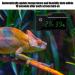 Mini Digital Thermometer Hygrometer for Terrariums | Accurate Temperature & Moisture Measurement with LCD Display - Buy Online on GoSupps.com