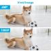 Mengshen Pet Camera - 4MP WiFi Dog Cat Cam with App 2-Way Audio Night Vision Human/Noise Movement Detection Cloud/SD Memory - Buy Online on GoSupps.com