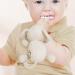 Paodduk Animal Pacifier Holder - Soft Cuddly & Skin-Friendly Attachment for Most Pacifiers | Adorable Elephant Design - Buy Online on GoSupps.com