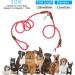 Premium Reflective Dog Leash for Running Walking & Training - Durable Crossbody Design for Small to Large Dogs - Pink Rose - Buy Online on GoSupps.com