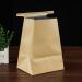 15pcs Disposable Kraft Paper Vomit Bags for Car, Motion & Morning Sickness - Airline & Pregnancy Friendly - Buy Online on GoSupps.com