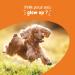 Zesty Paws Skin & Coat Health for Dogs | Supports Healthy Skin & Shiny Coat | Gourmet Bite-Size Dog Food | Supplements | Fish Oil - 90 Count - Buy Online on GoSupps.com