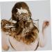 SKISUNO Side Comb Women Insert Comb Bridal Hair Accessories Bridal Hair Comb Wedding Bride Headwear Wedding Bride Headdress Women Hair Comb Accessories Bridal Headpiece Wedding Hair Comb - Buy Online on GoSupps.com