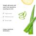 Planted Superfood Moisture - All-Natural Face & Skin Moisturizer with Aloe Shea Butter & Jojoba | 2 oz | International Shipping Available - Buy Online on GoSupps.com