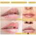 Sea & Moon Lip balm Set | Lip Balm Variety 8 Pack | 8 Flavours Original Honey Avocado Rose Sakura Honey-Peach Lemon & Strawberry 7g Each | Lip Balm Gift Set - Buy Online on GoSupps.com