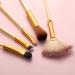 Anime Alice in Wonderland Gold Makeup Brushes Set | Foundation Blending Powder Eye Shadow Contour Concealer Blush | Fairy Cosmetic Brush Tools - Buy Online on GoSupps.com
