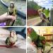 Vreplrse Adjustable Bird Flight Dishes & Easy-to-Wear Parrot Leash - Perfect Gift for Parrot Owners | International Shipping - Buy Online on GoSupps.com
