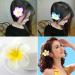 12pcs Frangipani Flower Hair Clips - Foam Hair Accessories for Weddings & Beach Parties - Perfect for Women & Girls - Buy Online on GoSupps.com