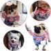 Buy Ayupz Halloween & Christmas Costumes for Dogs | Funny Dog Party Costumes (M) - International Shipping Available - Buy Online on GoSupps.com