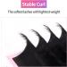 VEYES Classic Individual Lash Extensions 0.03-0.20 C/CC/D Curl 8-20mm Mixed & Single Length Volume Eyelashes Tray Matte Black Professional Supplies for Lash Techs (0.03 C 12mm) - Buy Online on GoSupps.com