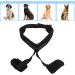 Dog Knee Brace Adjustable Dog Hind Legs Brace Protector Cruciate Ligament Care Knee Brace for Elderly Disabled Dogs Relieve Joint Pain Muscle Sore (M) - Buy Online on GoSupps.com