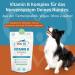 Dog Fit by Prethis - Vegan B Vitamin Complex for Dogs | Nerve Strengthening Incontinence & Nervousness Support | Large Animals (25kg+) - Buy Online on GoSupps.com