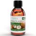 KitaMa massage oil aroma coconut - body oil for massages - care oil - aroma oil - nourishing relaxation oil - coconut nut - 250ml coconut 250 ml (1 Pack)