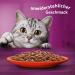 Whiskas 1+ Classic Selection in Sauce - 84x85g High-Quality Wet Food for Adult Cats - Large Pack - Buy Online on GoSupps.com