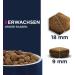 Eukanuba Dog Food for Large Breeds - Lamb & Rice Dry Food 2.5 kg Pack for Adult Dogs - Premium Nutrition - Buy Online on GoSupps.com